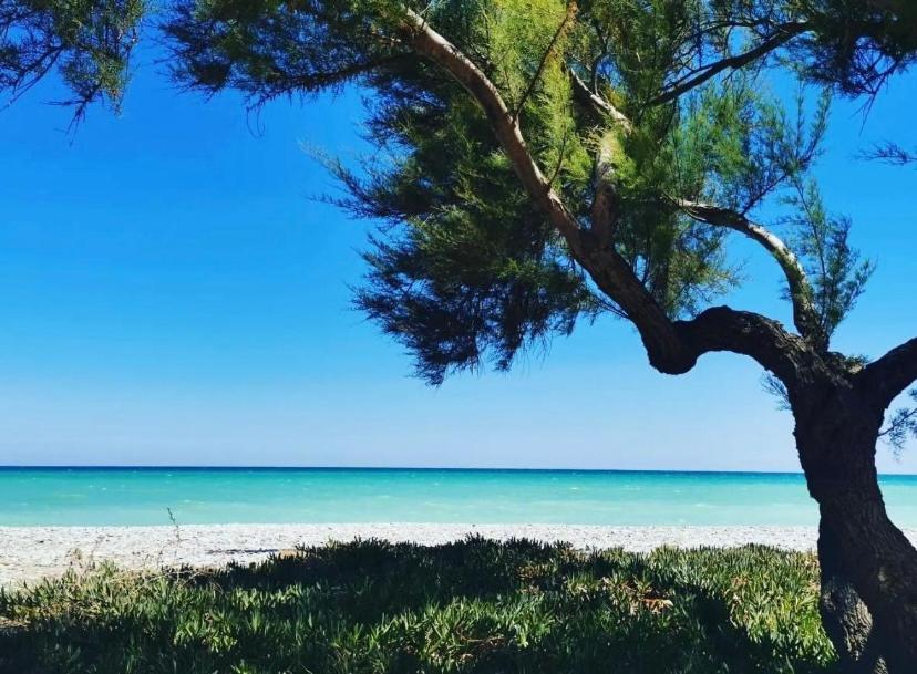 Magnifico Piso Con Vistas Al Mar En Moncofa Daire Moncófar Dış mekan fotoğraf